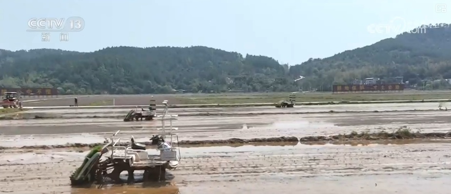 农业生产向“智”向“新” “太空紫云英”化为春泥助春耕 农业生产向“智”向“新” “太空紫云英”化为春泥助春耕