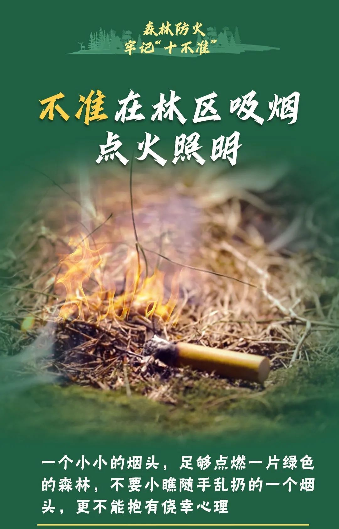 又是这事！北京一地发生山火，37岁男子被刑拘