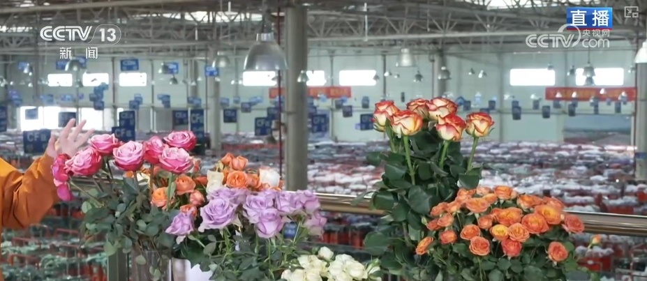 RCEP赋能抢“鲜”生意竞速跑 “土特产”凭实力“圈粉”海外 RCEP赋能抢“鲜”生意竞速跑 “土特产”凭实力“圈粉”海外