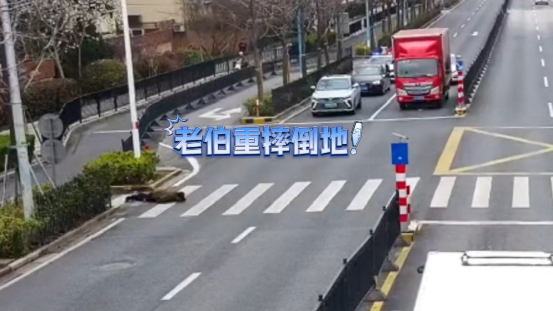 笔直摔倒脸部着地！这时，他们正好路过.......
