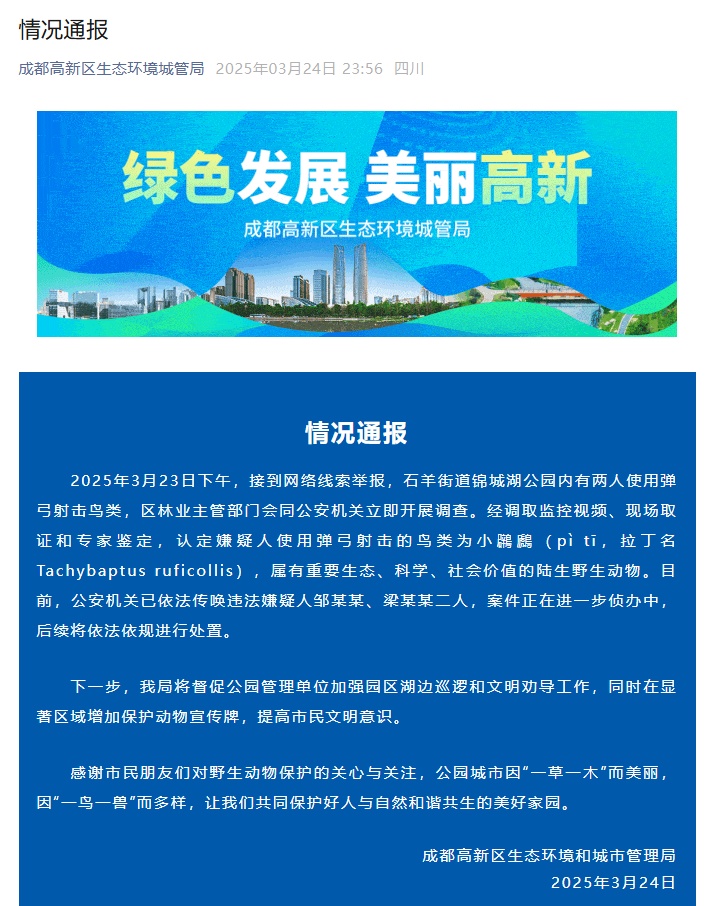 公然用弹弓打鸟!成都通报:邹某某、梁某某被依法传唤 公然用弹弓打鸟!成都通报:邹某某、梁某某被依法传唤
