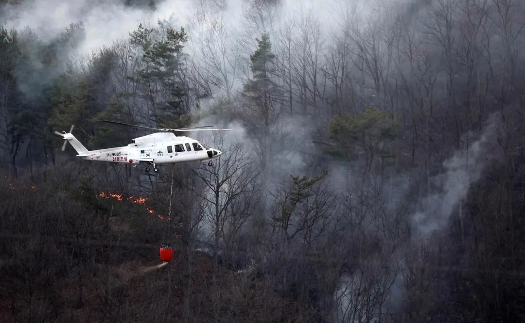已致4名消防员遇难!多地进入“灾难状态” 已致4名消防员遇难!多地进入“灾难状态”