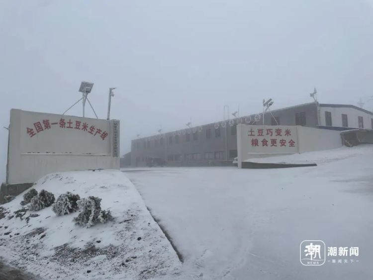 全球首条产线，“土豆米”开卖！啥味道？