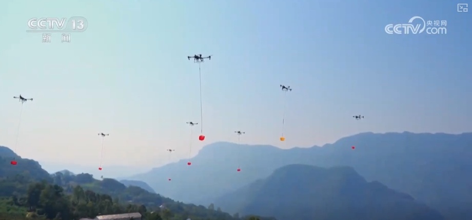 坐“火车”乘“飞机” 科技赋能脐橙“跑”上公路出山 坐“火车”乘“飞机” 科技赋能脐橙“跑”上公路出山