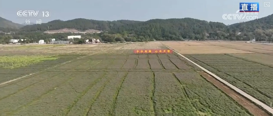 农业生产向“智”向“新” “太空紫云英”化为春泥助春耕 农业生产向“智”向“新” “太空紫云英”化为春泥助春耕