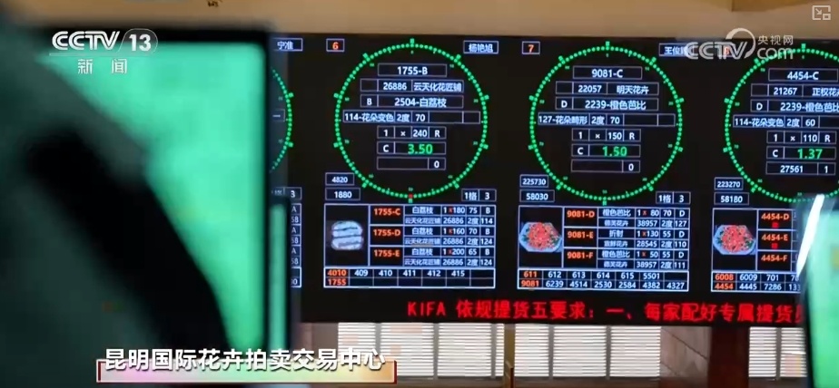 RCEP赋能抢“鲜”生意竞速跑 “土特产”凭实力“圈粉”海外 RCEP赋能抢“鲜”生意竞速跑 “土特产”凭实力“圈粉”海外