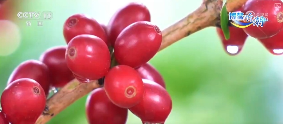RCEP赋能抢“鲜”生意竞速跑 “土特产”凭实力“圈粉”海外 RCEP赋能抢“鲜”生意竞速跑 “土特产”凭实力“圈粉”海外