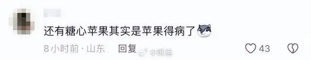网友吐槽“水果”食材是噱头！专家：营养价值差异并不显著