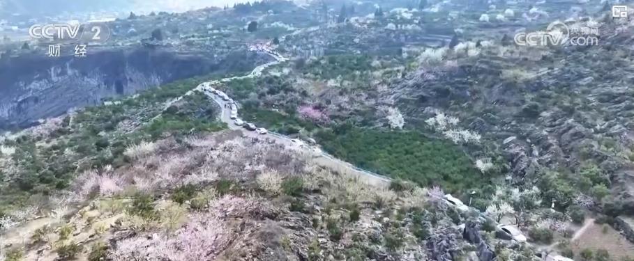 万亩荒山变花海 石漠化公园花开正艳