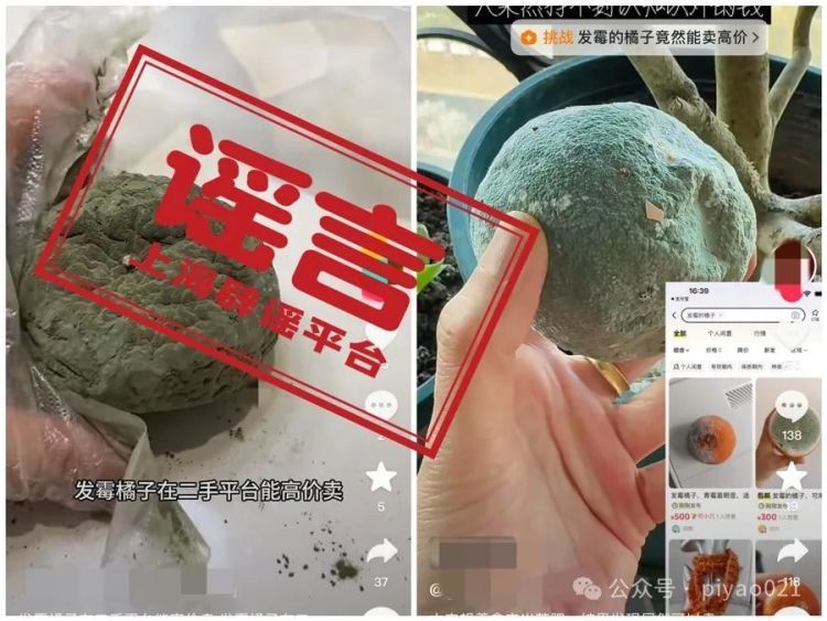 发霉的橘子一只能卖300元？有价无市背后，谁在哗众取宠