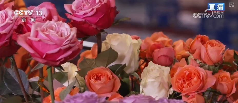 RCEP赋能抢“鲜”生意竞速跑 “土特产”凭实力“圈粉”海外 RCEP赋能抢“鲜”生意竞速跑 “土特产”凭实力“圈粉”海外