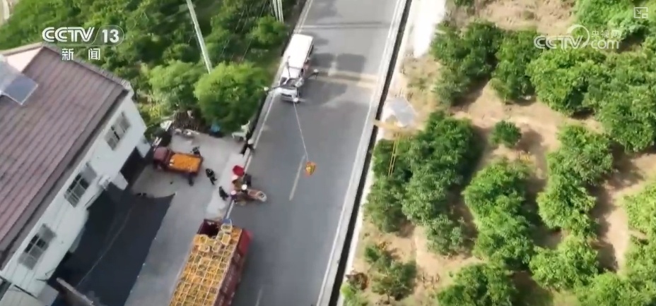 坐“火车”乘“飞机” 科技赋能脐橙“跑”上公路出山 坐“火车”乘“飞机” 科技赋能脐橙“跑”上公路出山