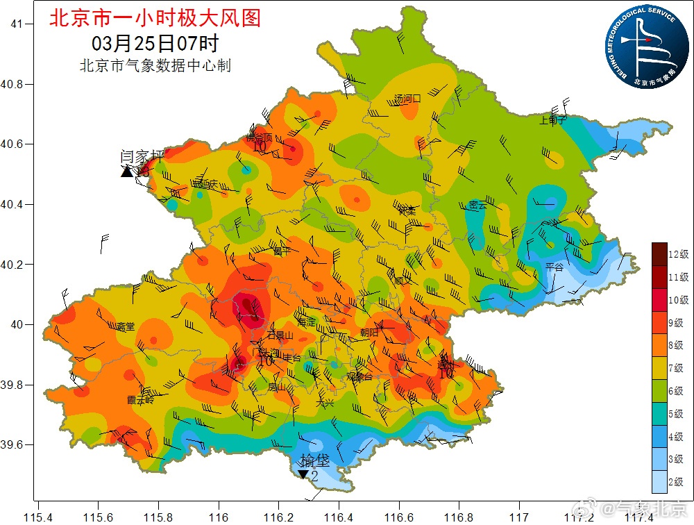 预警升级，北京阵风可达10级以上！已有树被刮倒
