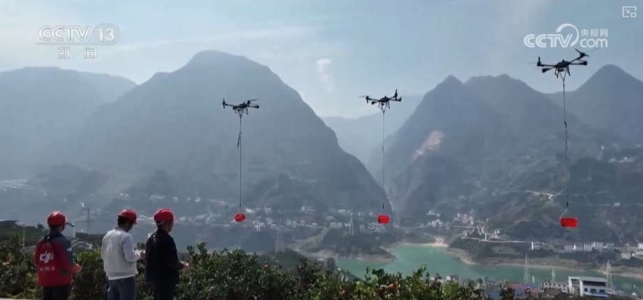 坐“火车”乘“飞机” 科技赋能脐橙“跑”上公路出山 坐“火车”乘“飞机” 科技赋能脐橙“跑”上公路出山