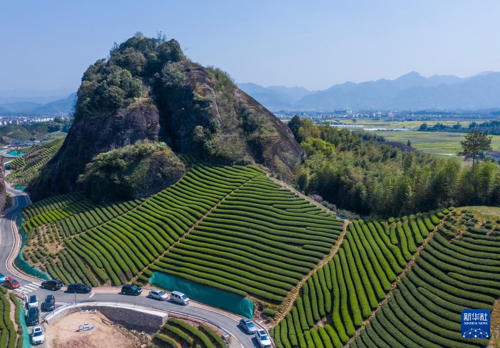 浙江武义：有机茶乡春季茶旅融合促消费