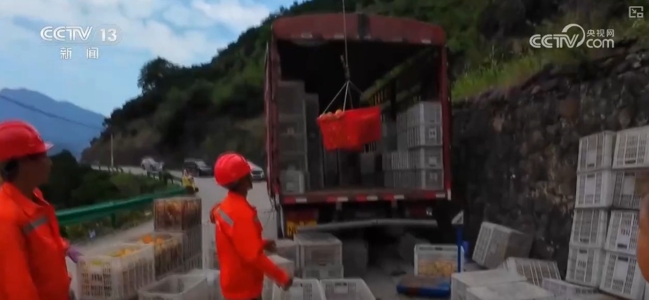 坐“火车”乘“飞机” 科技赋能脐橙“跑”上公路出山 坐“火车”乘“飞机” 科技赋能脐橙“跑”上公路出山