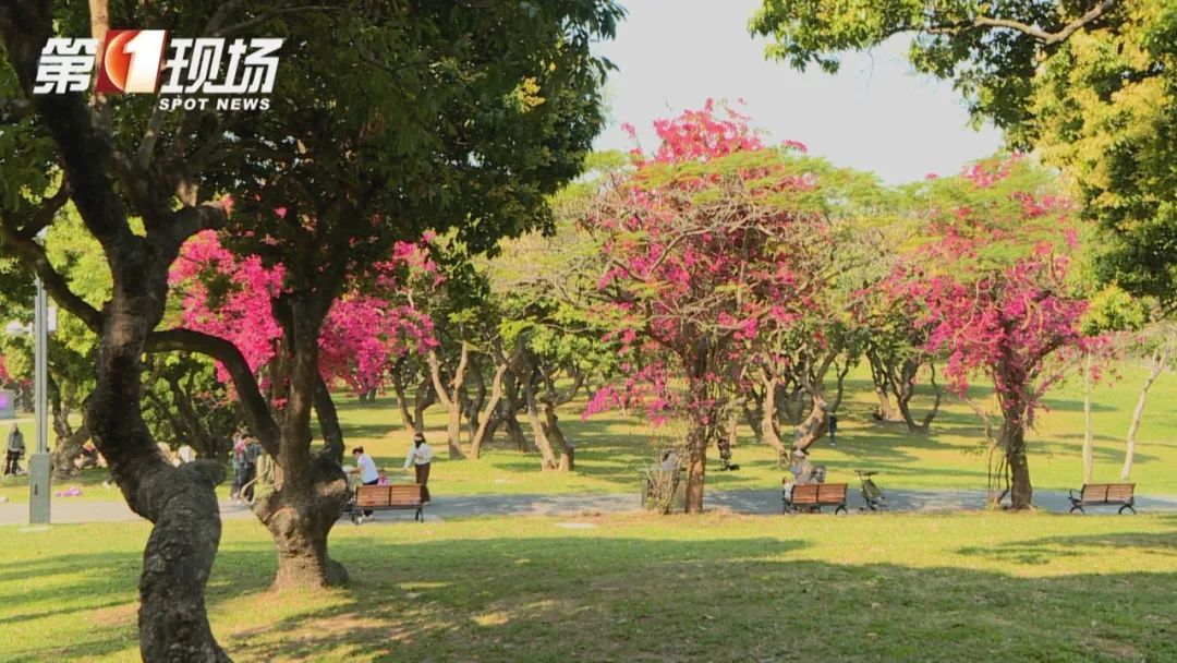 “眼睛快要被揉爆了!”近期高发,紧急提醒 “眼睛快要被揉爆了!”近期高发,紧急提醒