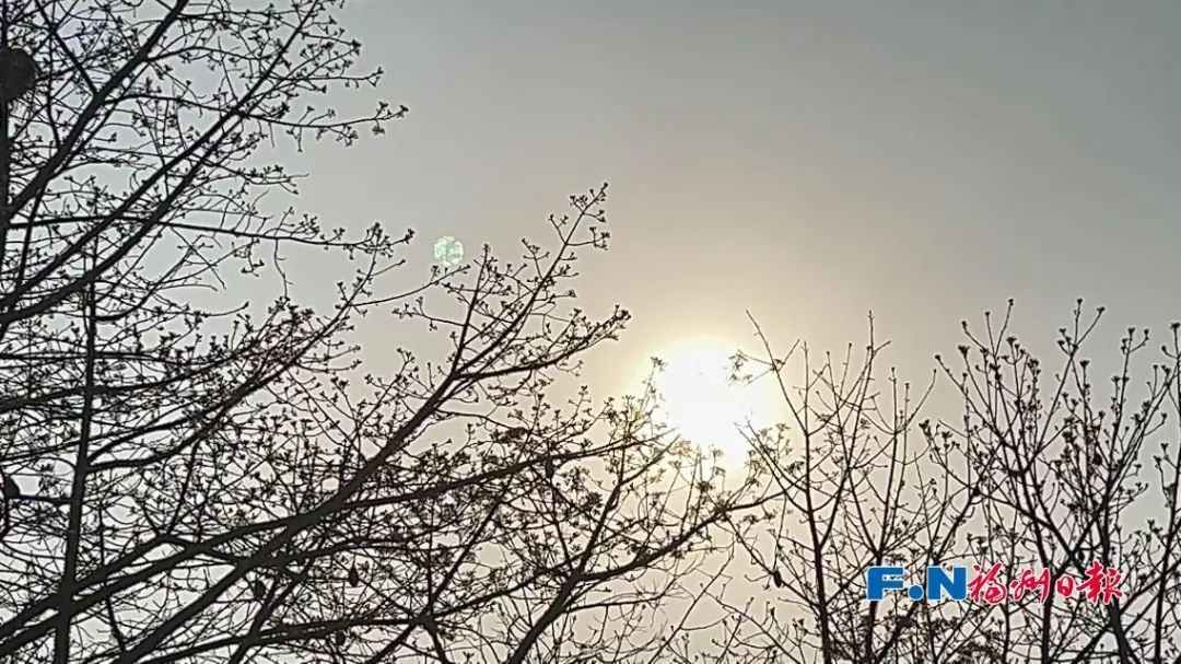 降温或超20℃!寒潮即将抵达福建! 降温或超20℃!寒潮即将抵达福建!