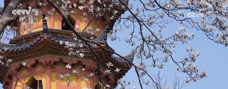 清明前夕国内一线城市周边游热度上升 清明前夕国内一线城市周边游热度上升