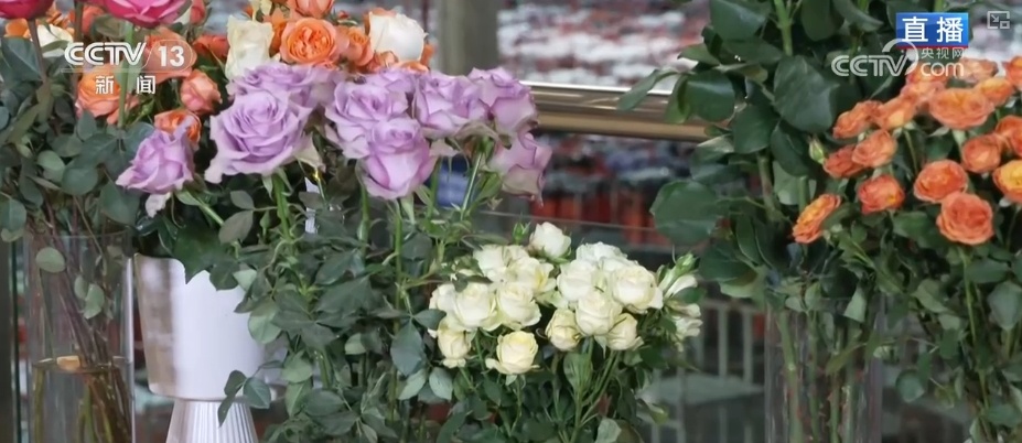 RCEP赋能抢“鲜”生意竞速跑 “土特产”凭实力“圈粉”海外 RCEP赋能抢“鲜”生意竞速跑 “土特产”凭实力“圈粉”海外