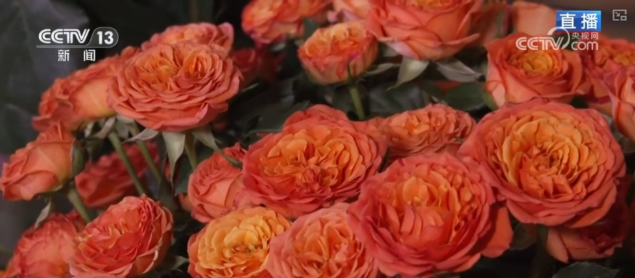 RCEP赋能抢“鲜”生意竞速跑 “土特产”凭实力“圈粉”海外 RCEP赋能抢“鲜”生意竞速跑 “土特产”凭实力“圈粉”海外