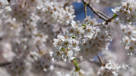 春来早！北京已于3月19日跑步入春 较常年偏早一周