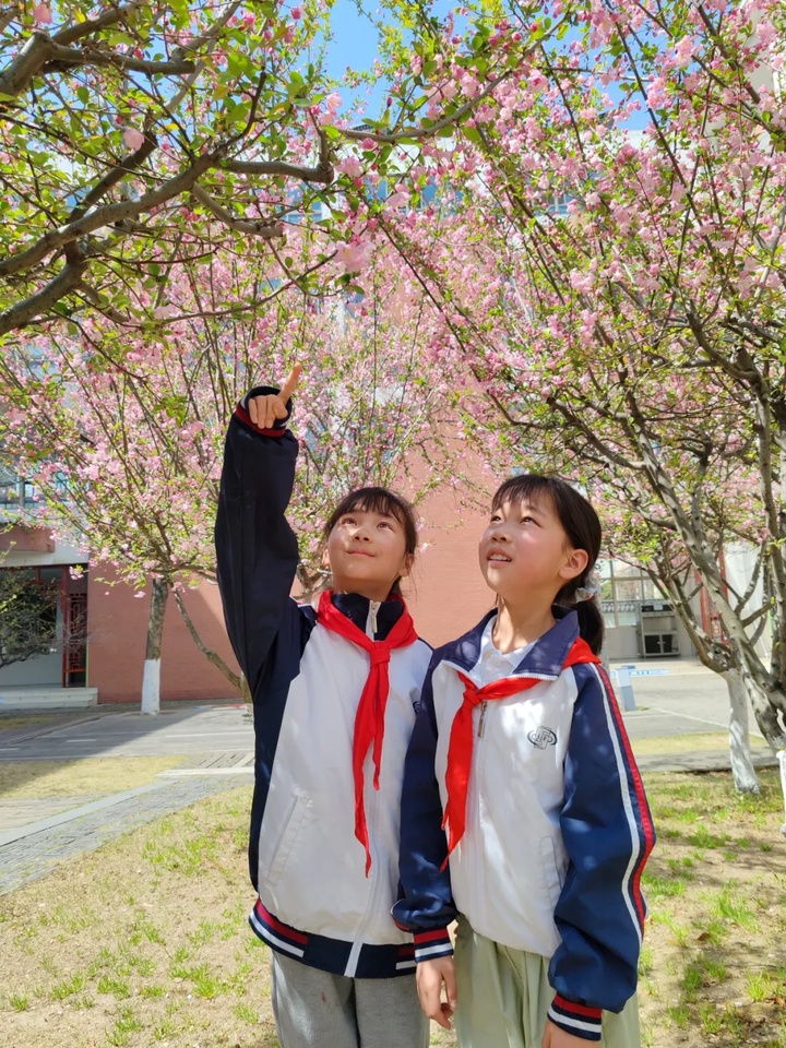 苏州的“校花”，美翻了！