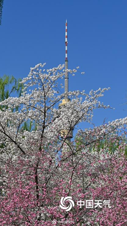 春来早！北京已于3月19日跑步入春 较常年偏早一周