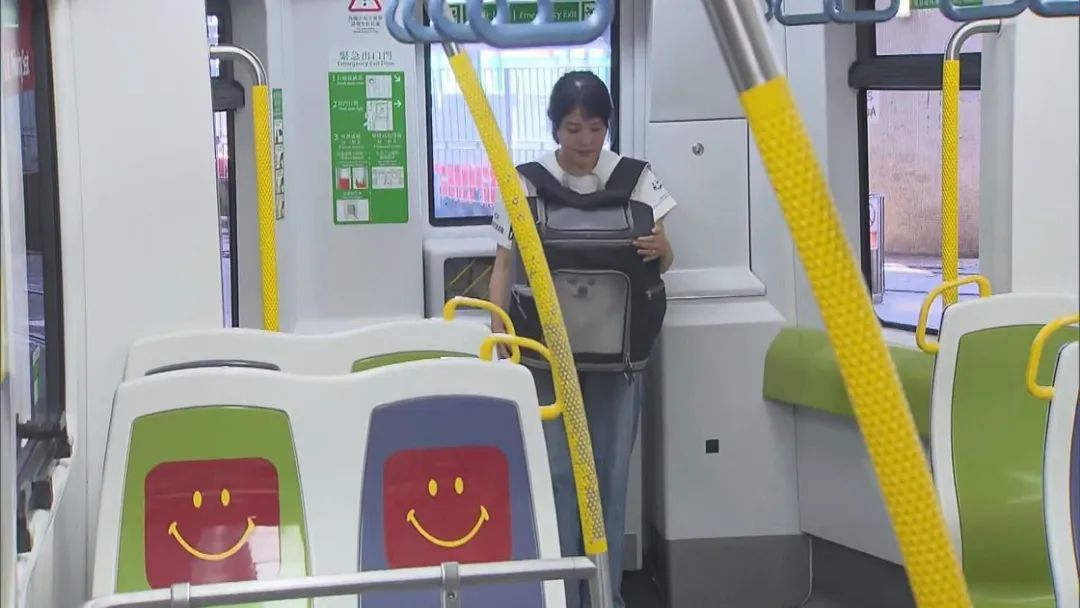 5月起,乘港铁可带宠物了 5月起,乘港铁可带宠物了