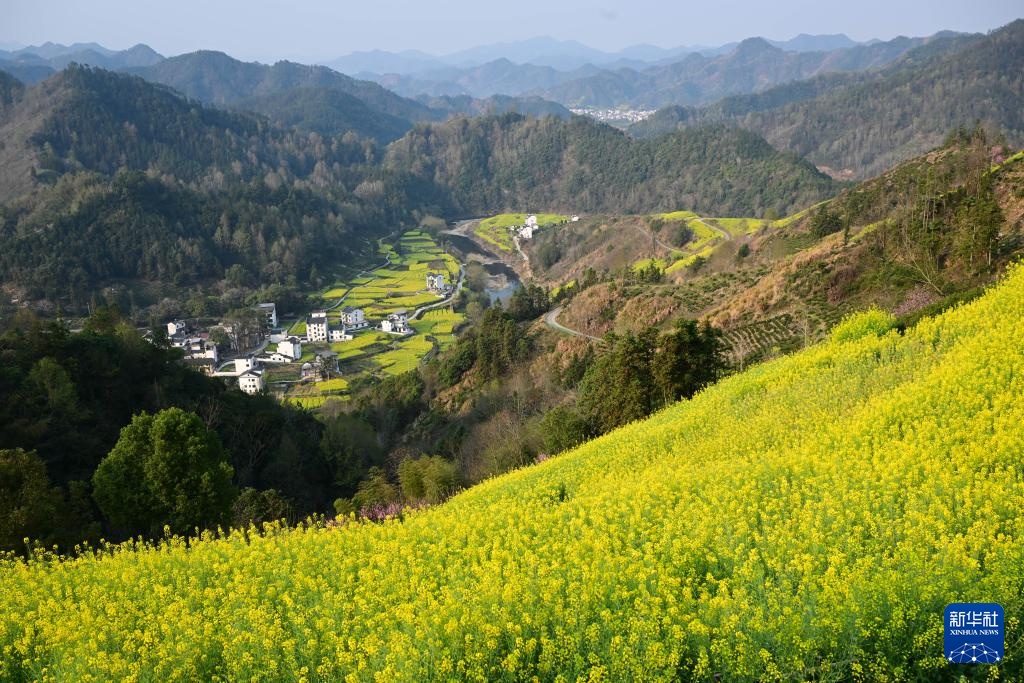 安徽歙县：花满山野春意浓