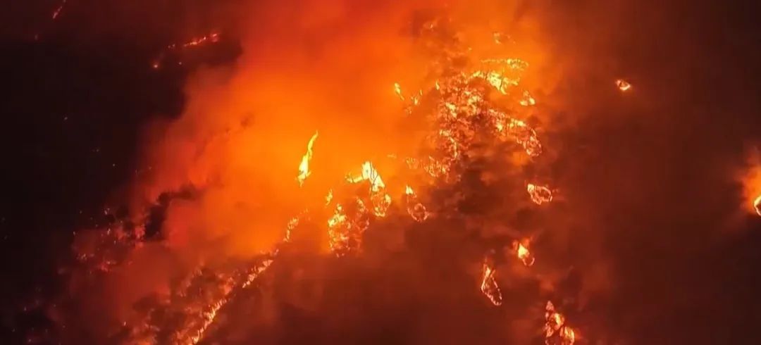 韩国山火已致22死19伤 韩国山火已致22死19伤