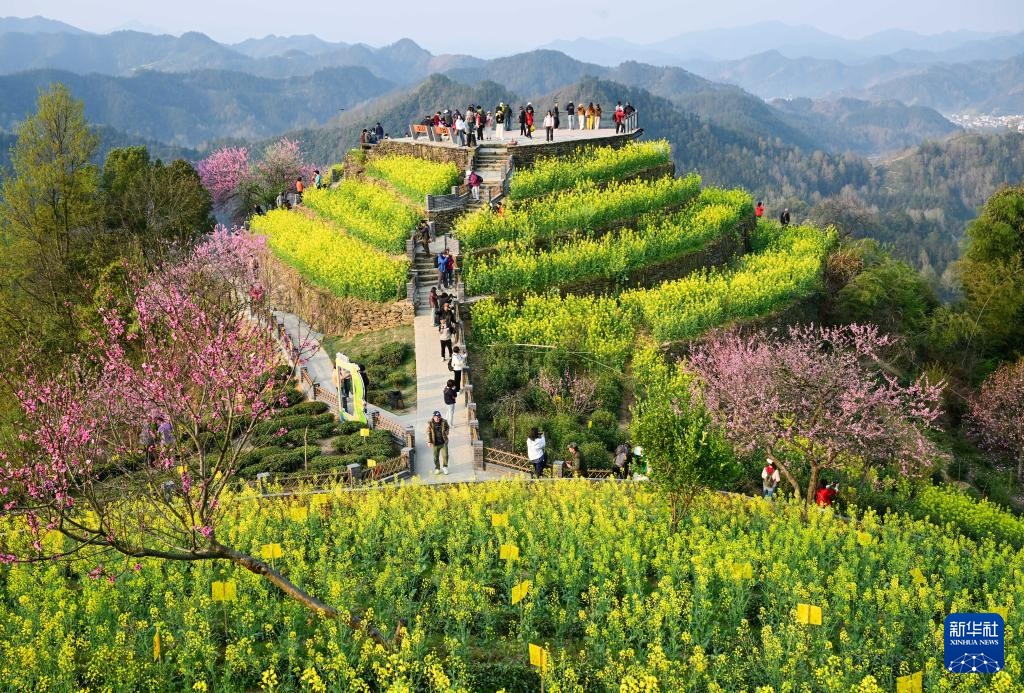 安徽歙县：花满山野春意浓