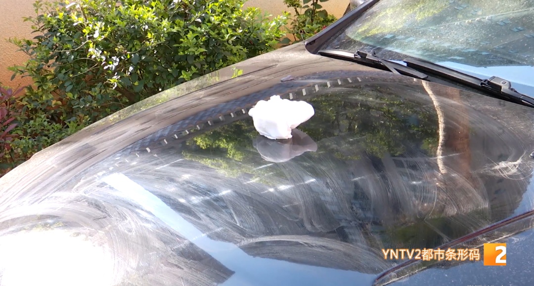 吓出冷汗！二楼扔下一包湿纸巾竟砸凹盆体！有点震撼……