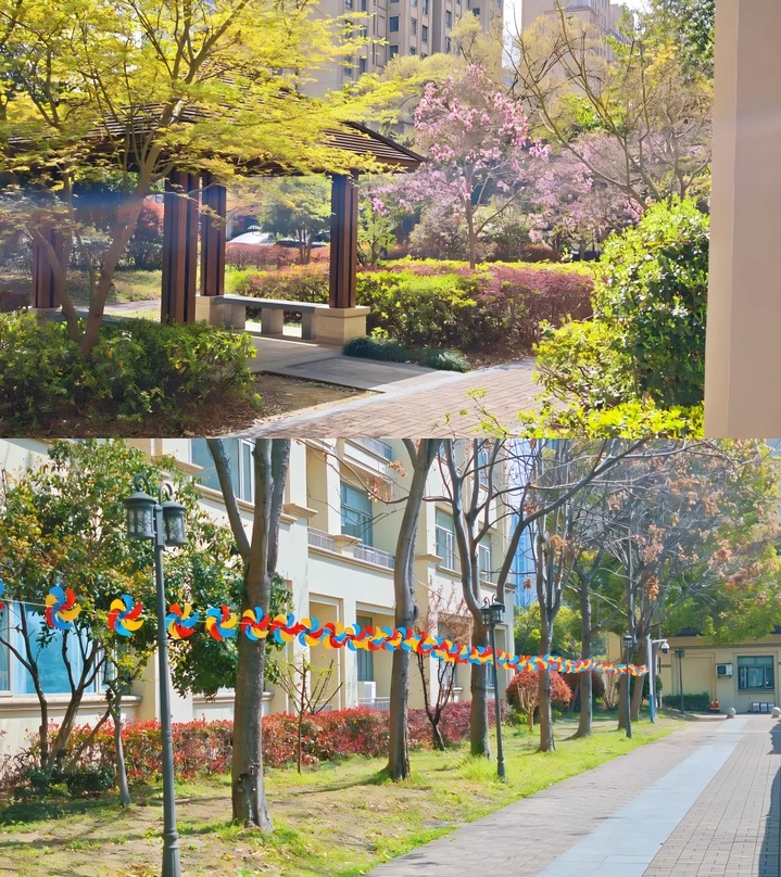 苏州的“校花”，美翻了！