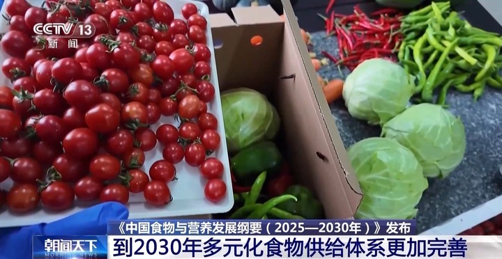 吃多少、怎么吃才更健康?《纲要》划重点 吃多少、怎么吃才更健康?《纲要》划重点