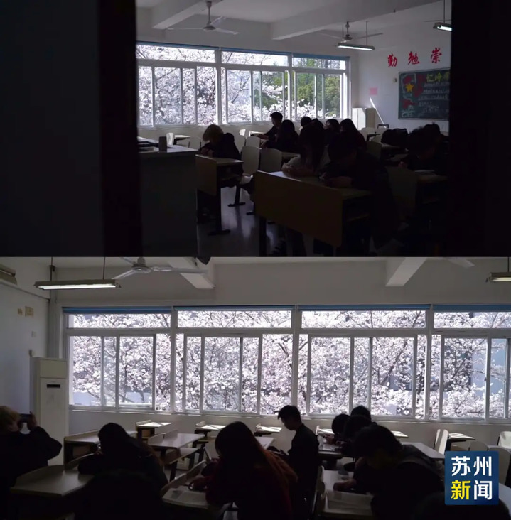 苏州的“校花”，美翻了！