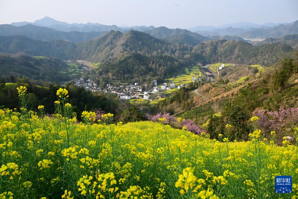安徽歙县：花满山野春意浓