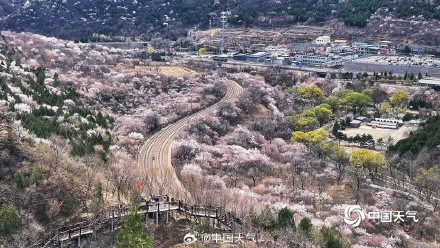春来早！北京已于3月19日跑步入春 较常年偏早一周