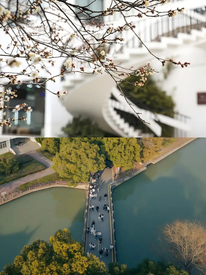 苏州的“校花”，美翻了！