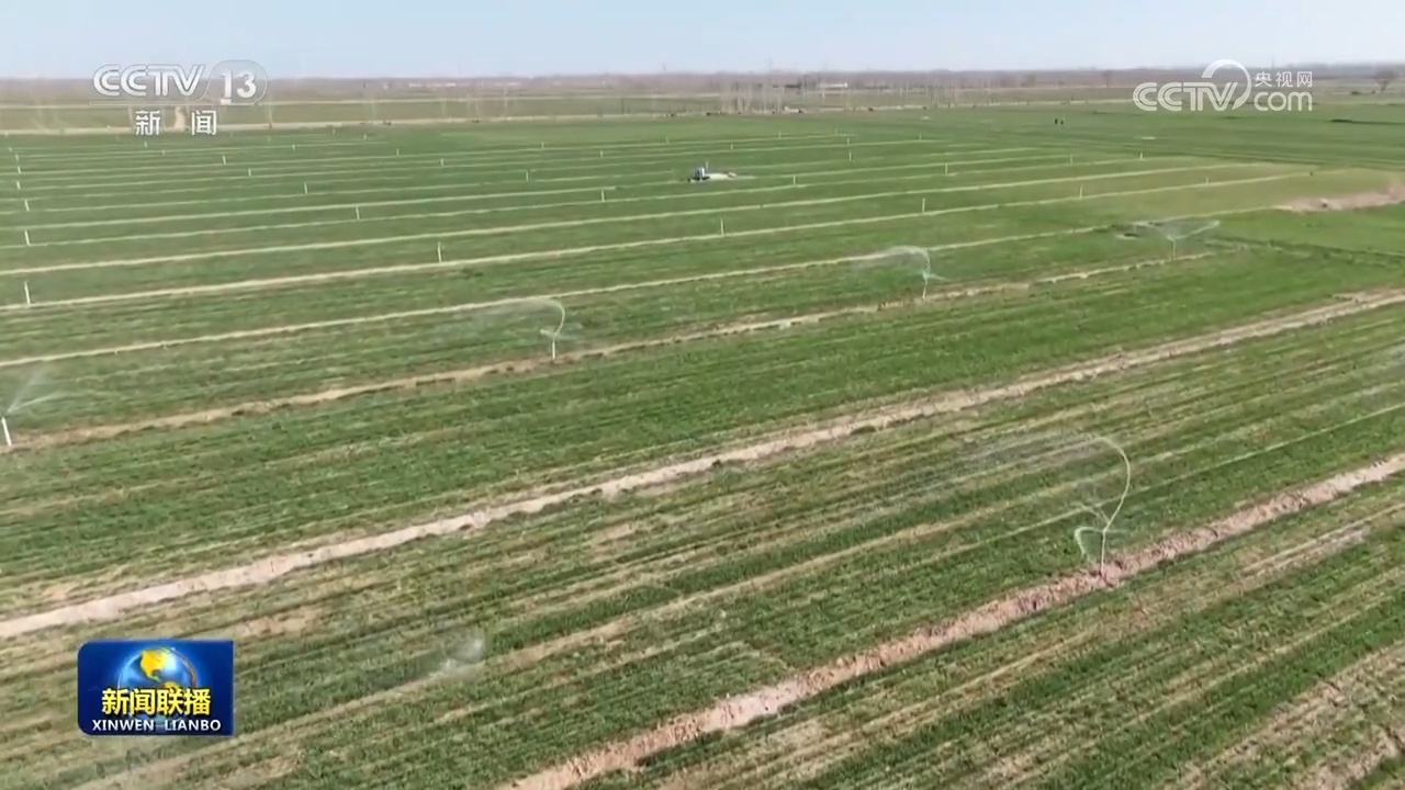 我国多领域建设展现积极景象 高质量发展扎实推进 我国多领域建设展现积极景象 高质量发展扎实推进