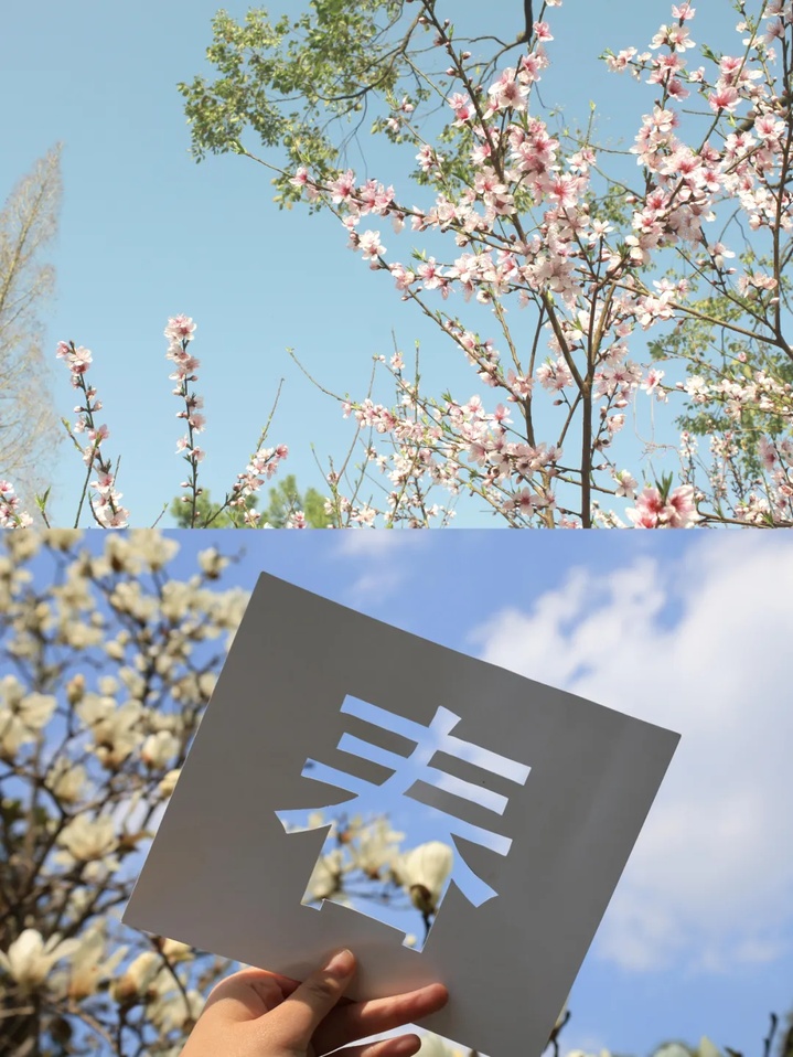 苏州的“校花”，美翻了！