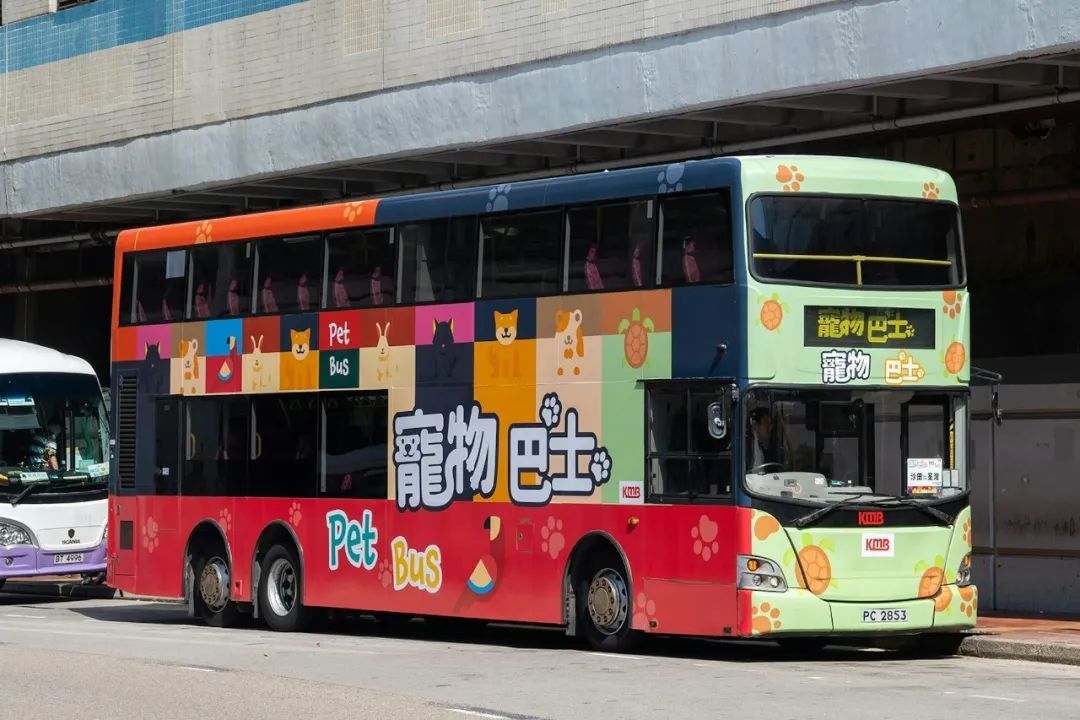 5月起猫狗可以搭乘香港轻铁，需买“猫狗同行证”，每次只能带1只