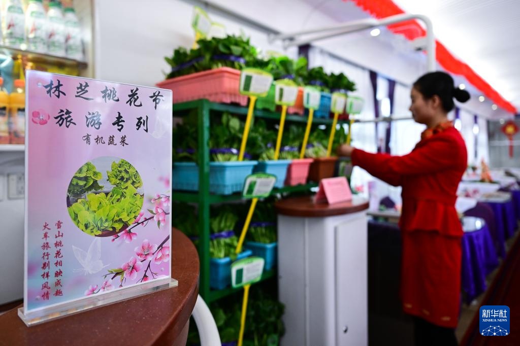 青藏铁路开行2025年首列入藏旅游专列