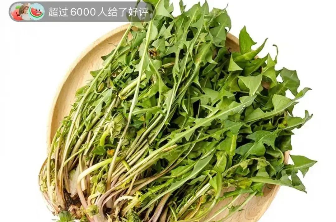 这种春菜能护眼,很多人都不知道 这种春菜能护眼,很多人都不知道