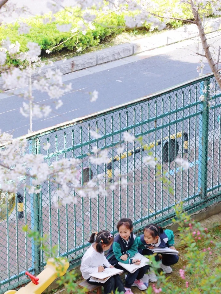 苏州的“校花”，美翻了！