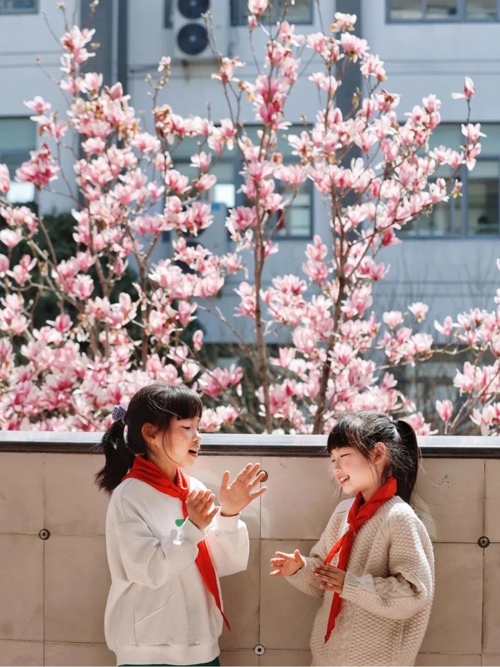 苏州的“校花”，美翻了！