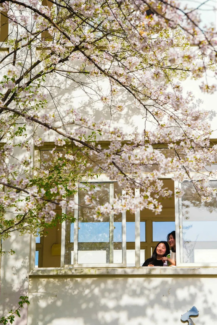 苏州的“校花”，美翻了！