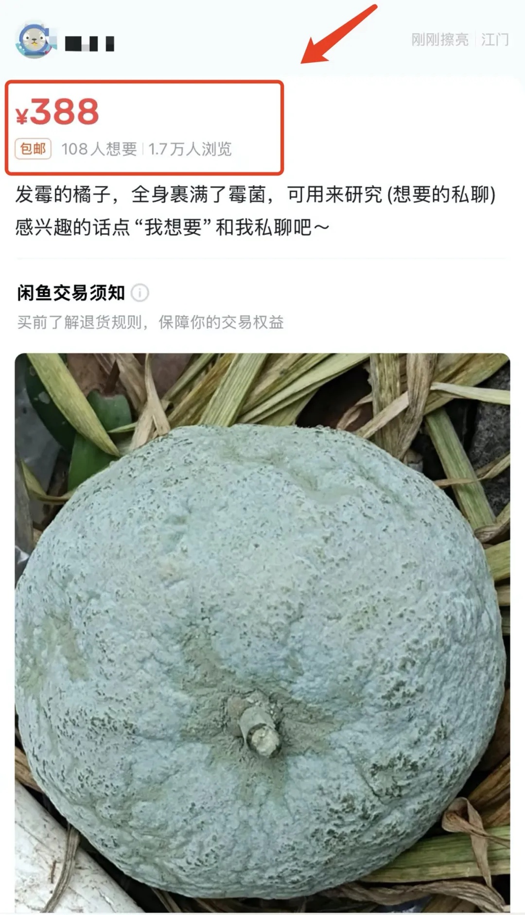 一个发霉的橘子，可卖上千元？