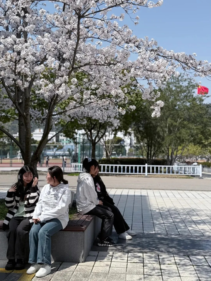 苏州的“校花”，美翻了！