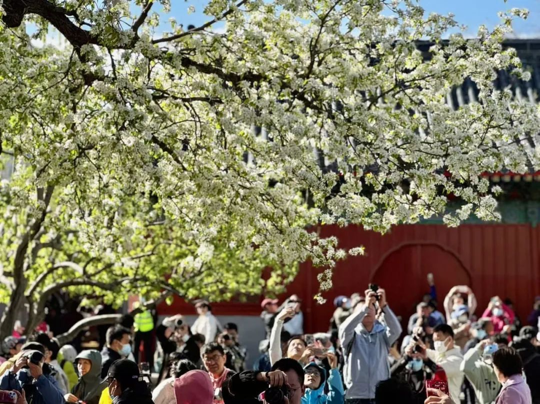 北京正式入春啦！比常年偏早7天